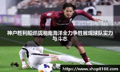 九游体育登录入口